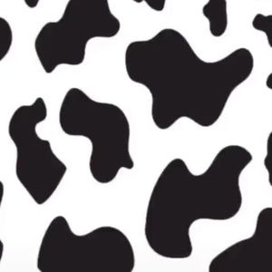 Meet your Posher, Bethannye